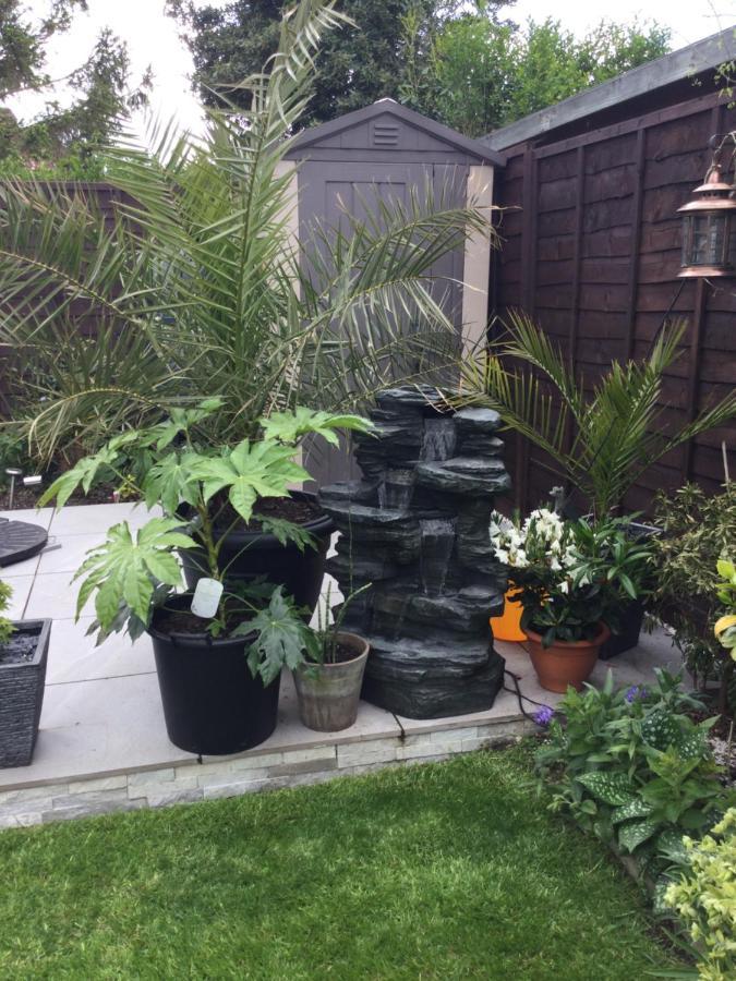 Rise & Shine Bed & Breakfast Titchfield Esterno foto